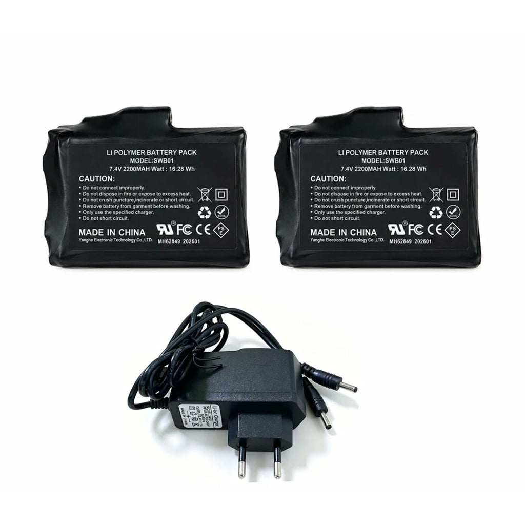 Deux batteries 7,4 V 2 200 mAh et leur chargeur double à prise européenne
