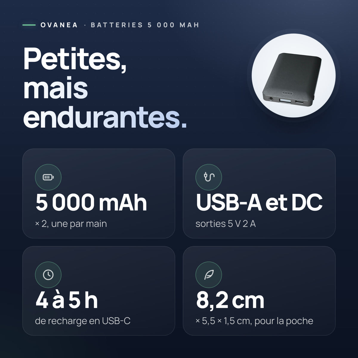 Visuel OVANEA : Petites, mais endurantes.